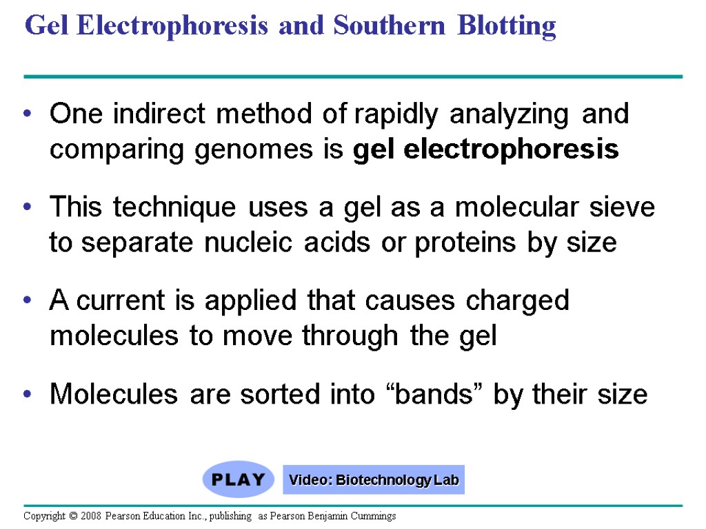 Gel Electrophoresis and Southern Blotting One indirect method of rapidly analyzing and comparing genomes